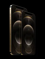 iPhone 12 Pro Max Refurbished