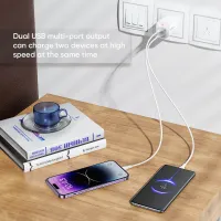 VIDVIE PLE250 12W Dual USB Charger with Cable