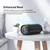 VIDVIE SP919 30W Bluetooth Speaker